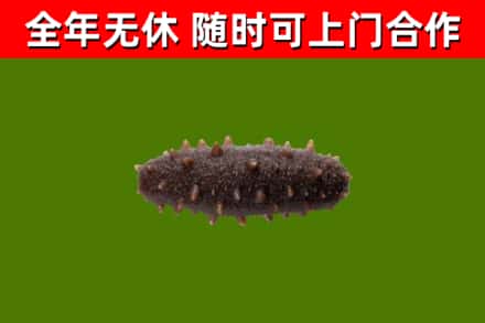 海棠区烟酒回收干海参.jpg